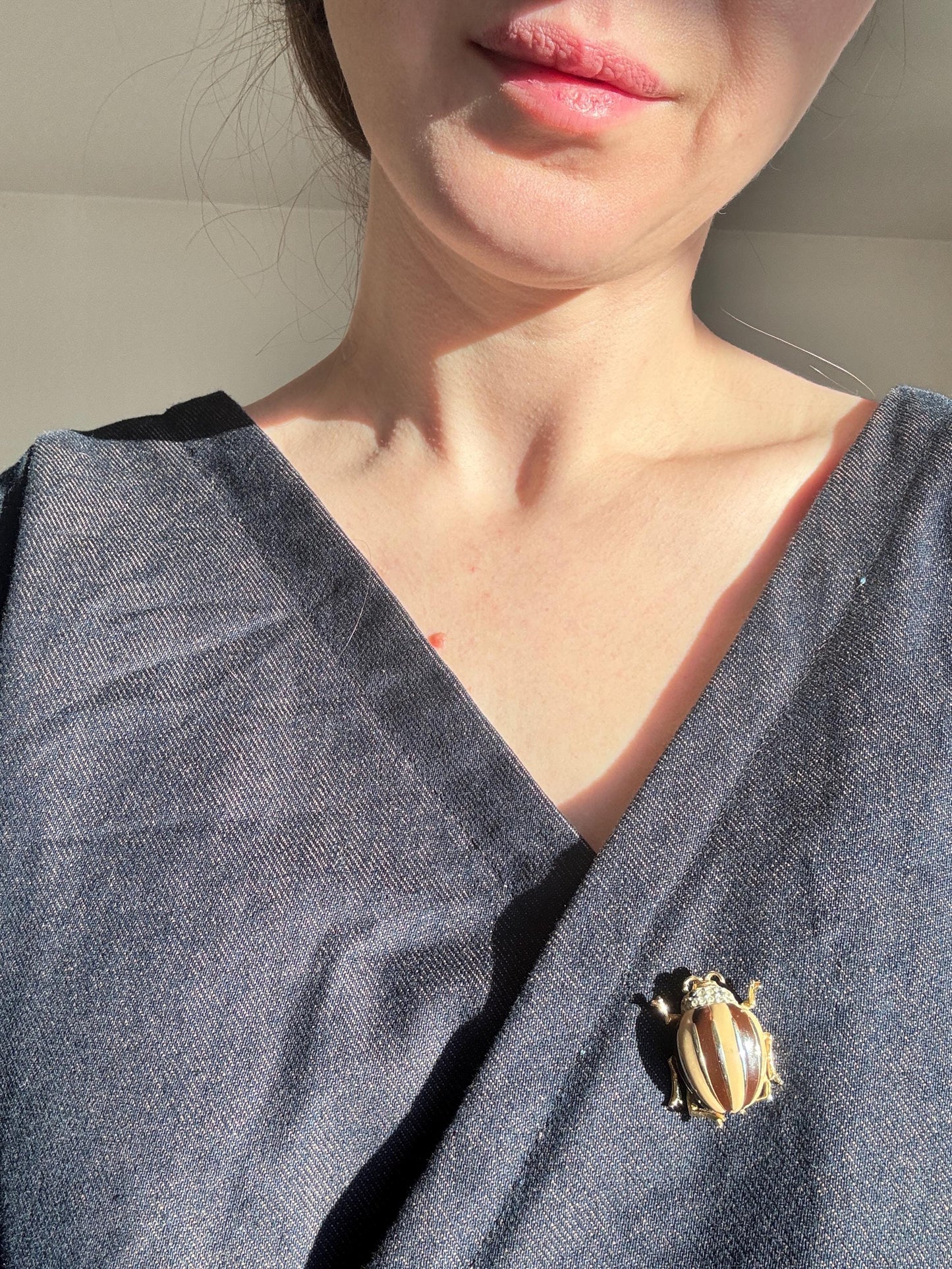 Vintage Bug Brooches; Insect Brooch